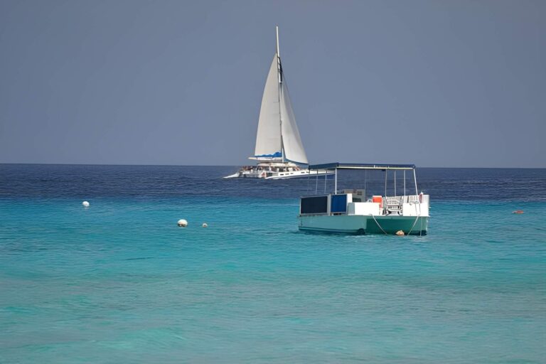 A catamaran and a pontoon boat cost comparison